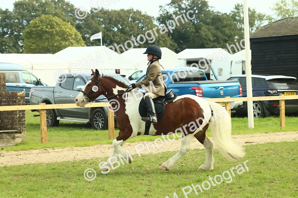SBM_68239 - S58 - Mini Show Cob Ridden