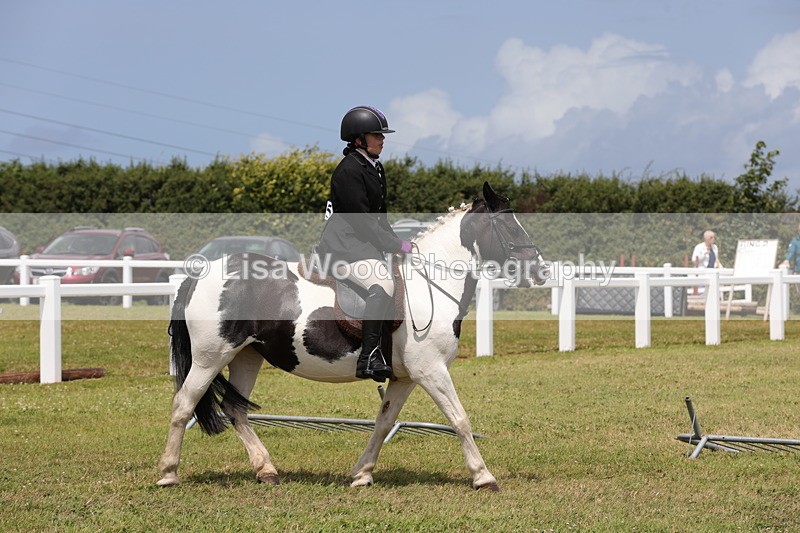 1X9A4696 - Class 34: Veteran Ridden