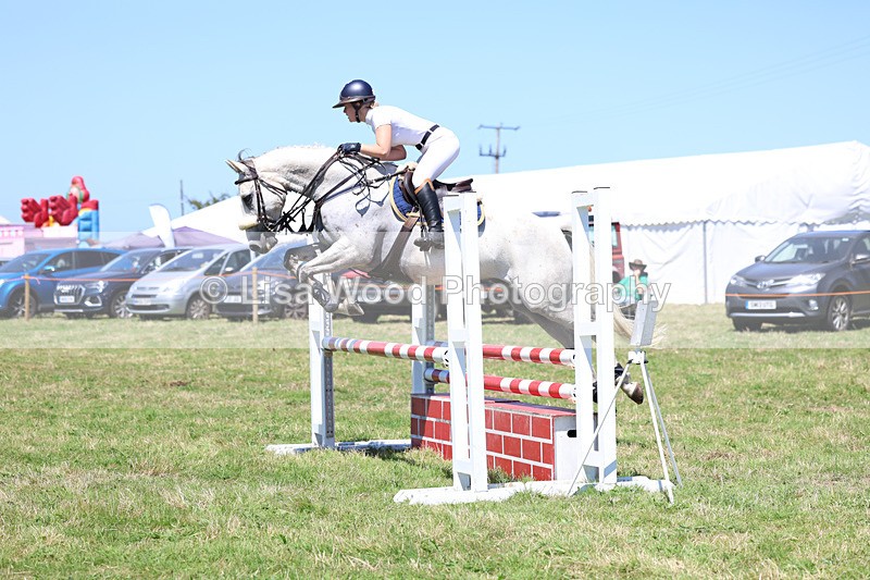 3E7A5594 - Class 9: Senior British Novice/90cm open