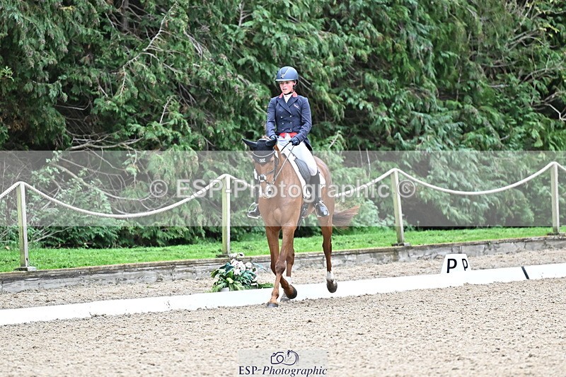 251022A-144757-00131 - C-206-Madison.Tapner