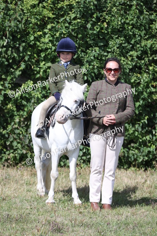 20250831-2515 - Class 16 - Family Pony