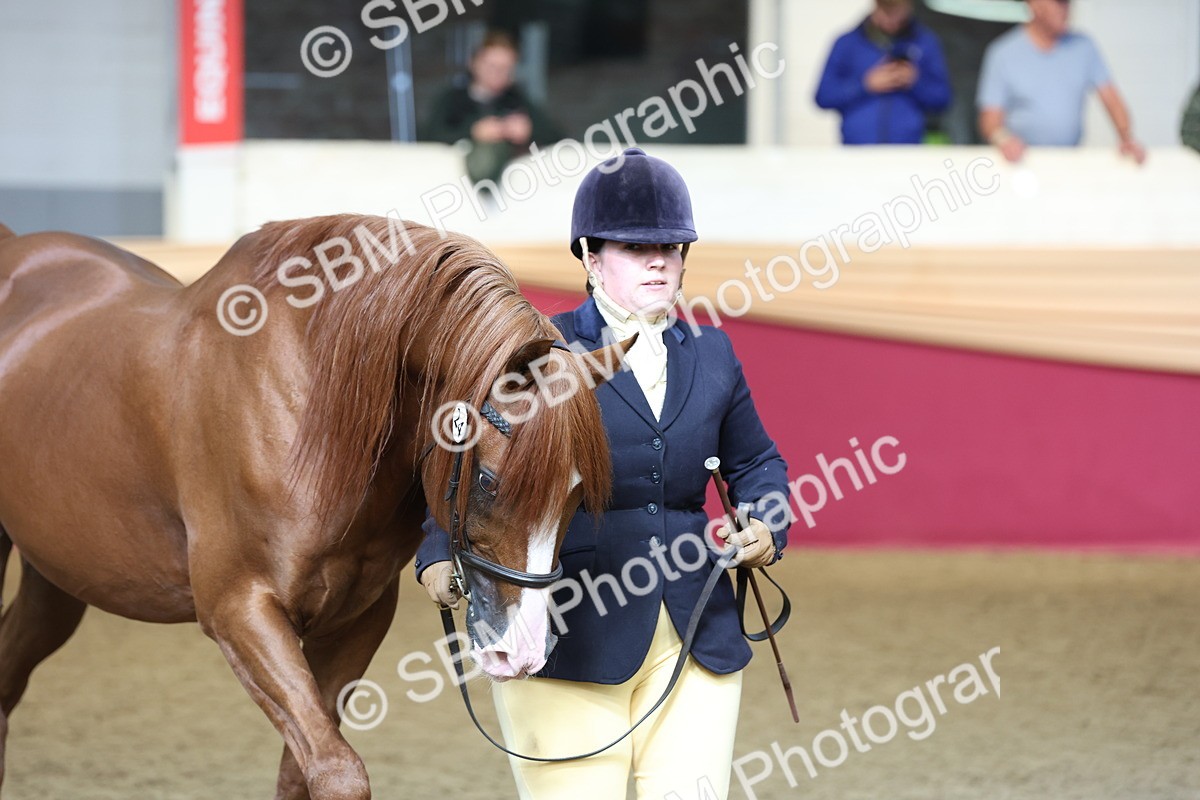 SBM_22551 - Class 902 - Supreme Final - IH Diamond