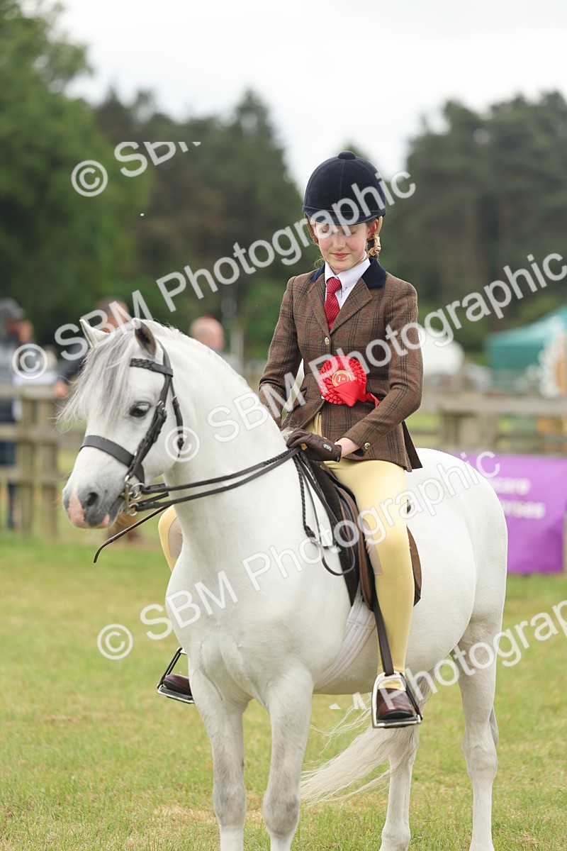 SBM_07137 - Class 76-77 - Ridden M&M Welsh Ponies