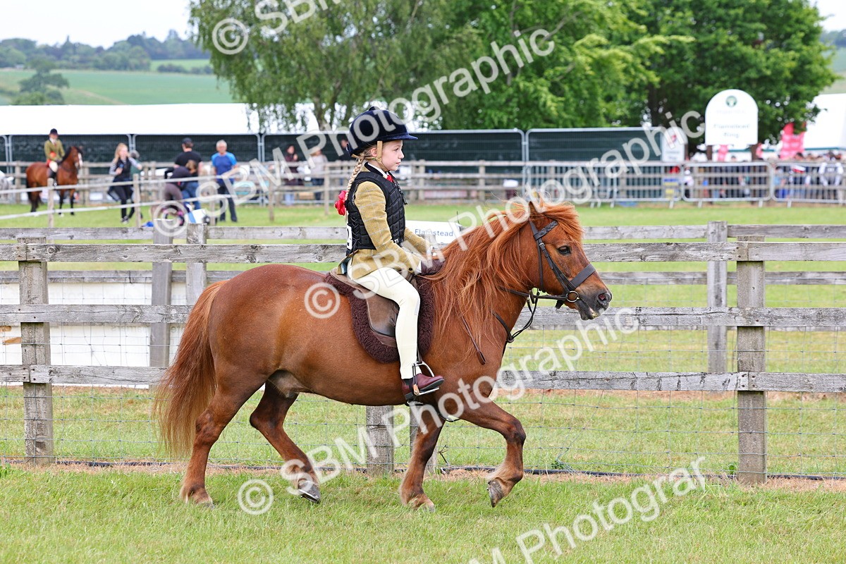 SBM_08509 - Class 42-43 - LIHS BSPS Heritage Working Sports Pony
