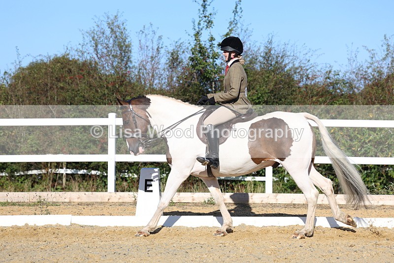 3E7A5276 - Class 8: Small Ridden Hunter