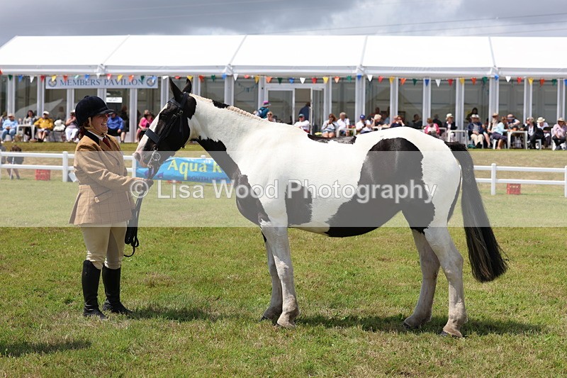 3E7A2131 - Class 10: Open Cob