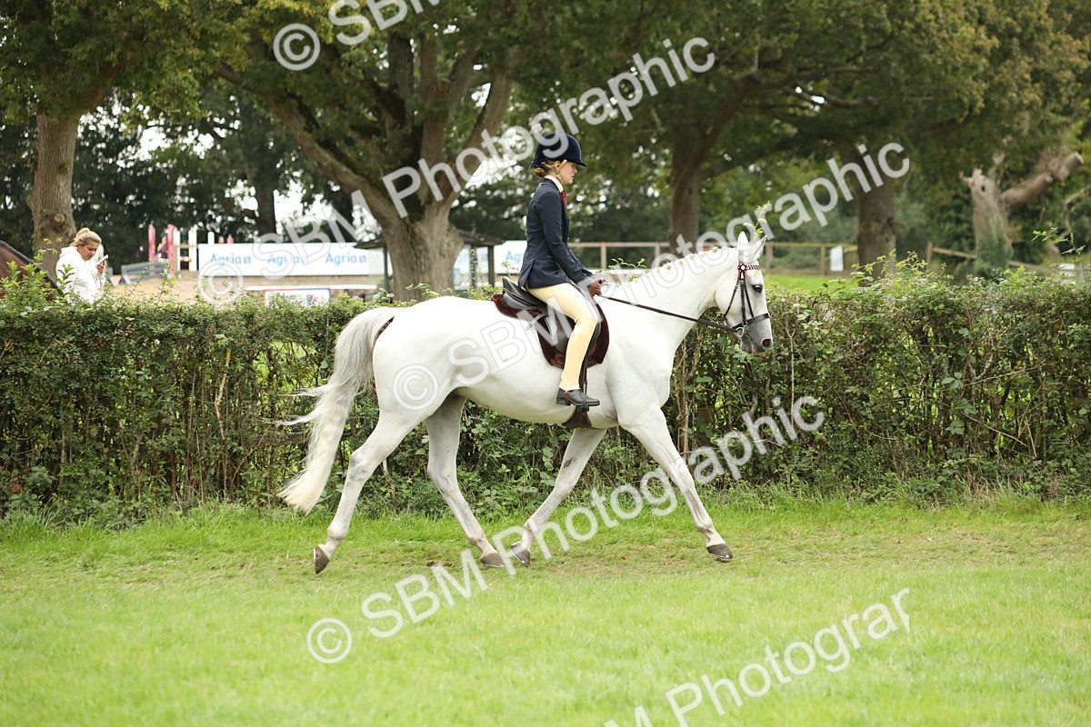 SBM_73689 - S41 - Ridden Equitation (Best Rider)