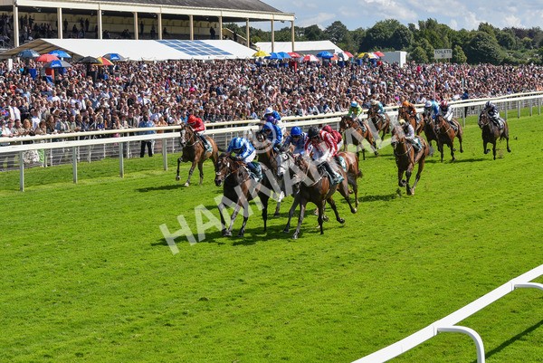 150723-Race 3-Pride of America-8681 - Race 3 3.10pm John Smith's Cup Handicap
