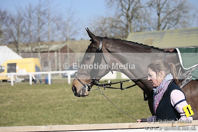 PtP 240218 196 - Vine & Craven Hunt Point-to-Point Barbury racecourse 24/02/18