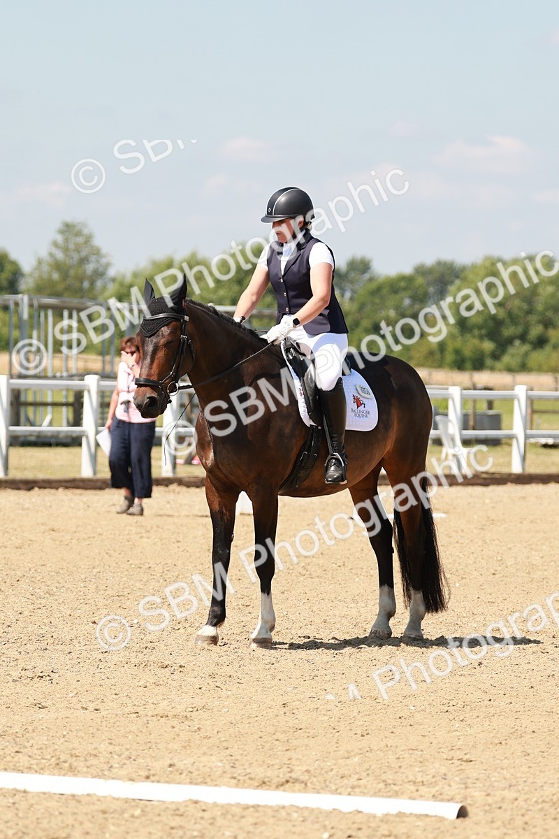 SBM_022219 - Class 16 - E6