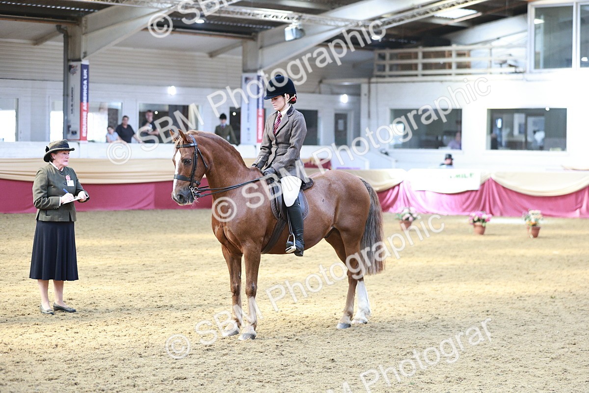 SBM_07117 - Class 10R - Regional Ridden Diamond