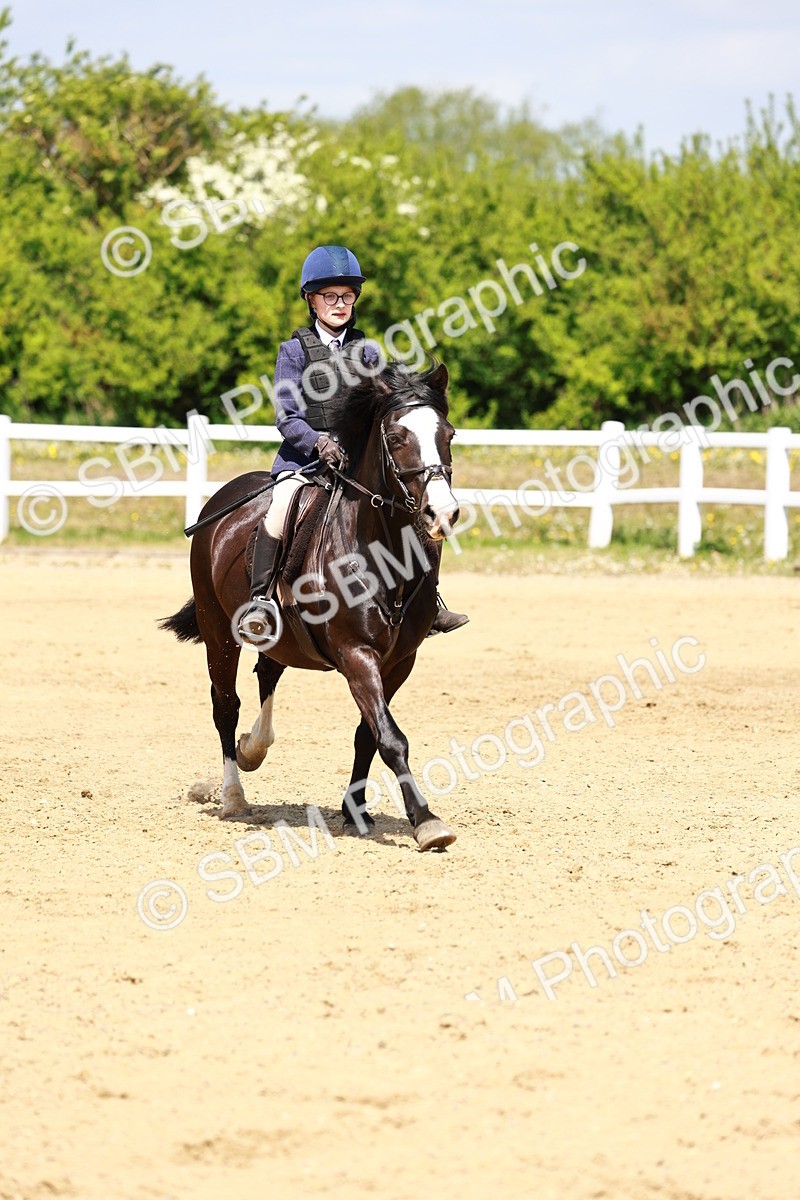 SBM_007763 - Class 3 - 60cm