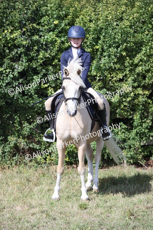 20250831-2525 - Class 16 - Family Pony