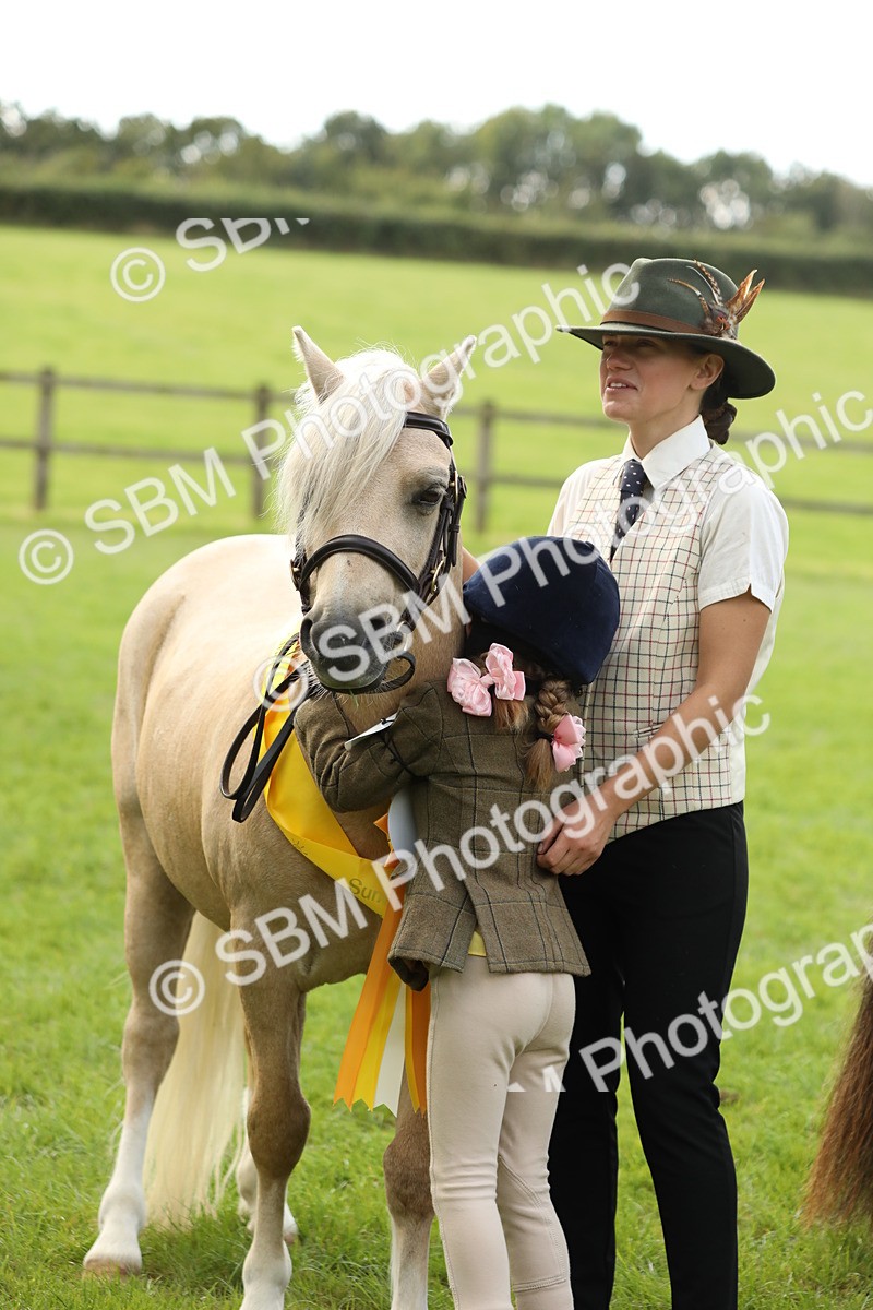 SBM_62847 - S46 - Mountain & Moorland In Hand Small Breeds