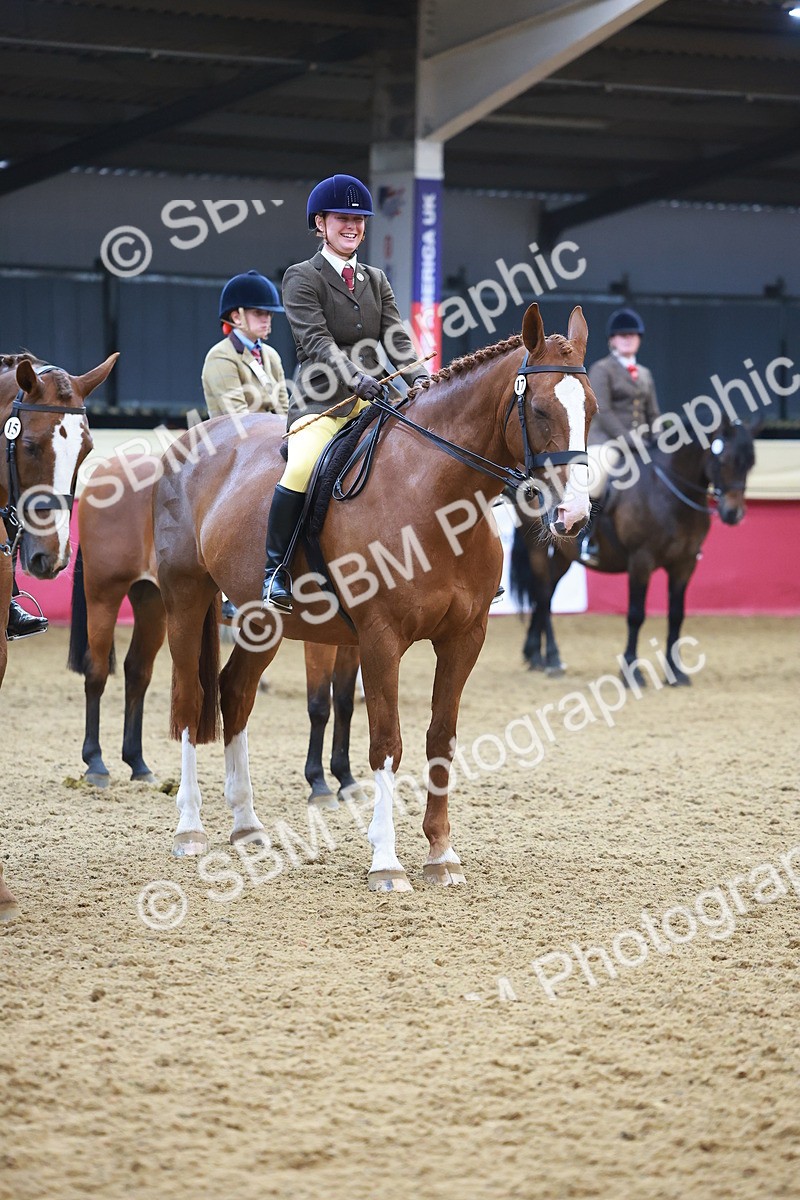 SBM_12683 - Class 103 - HOYS Veteran Qualifier - Ridden Pre Vet
