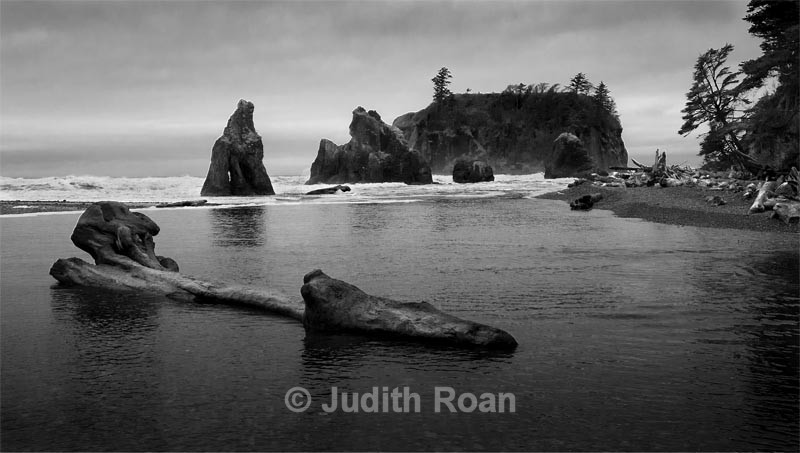 Ruby Beach - Pacific Northwest