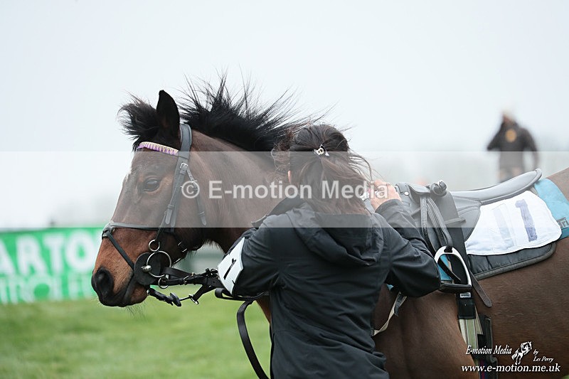 PR PtP 080326 14 - Guilsborough Pony Races 08/03/26