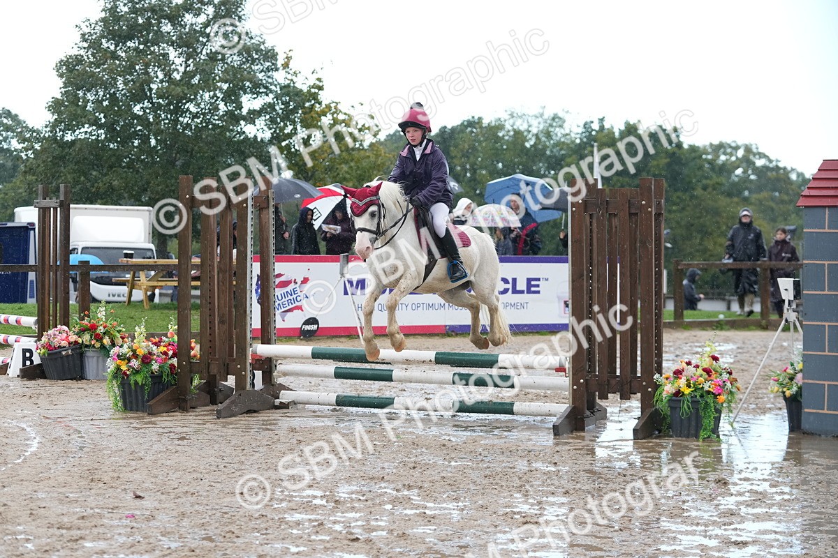 SBM_36316 - J5 - Junior Pony 50cm Championship