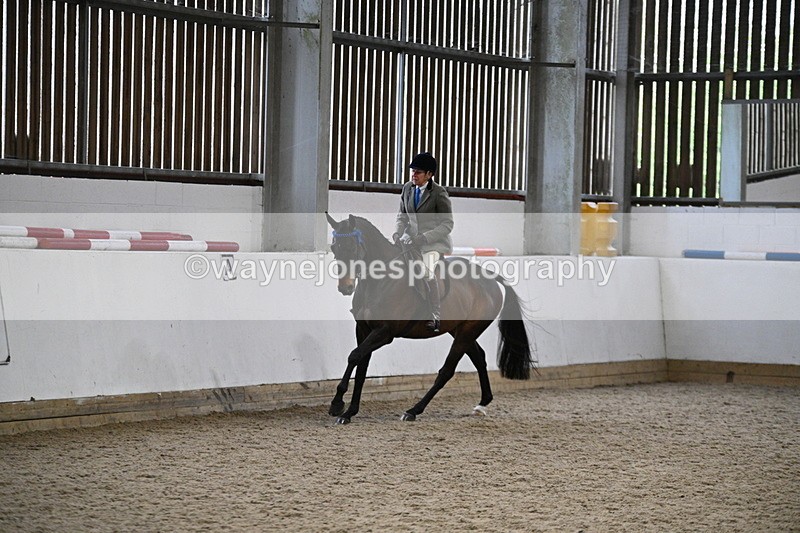 WJ7_4272 - Class 17 Ridden Cob