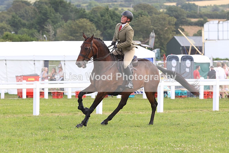 JPP_3797 - Class 23: Working Hunter 80cm