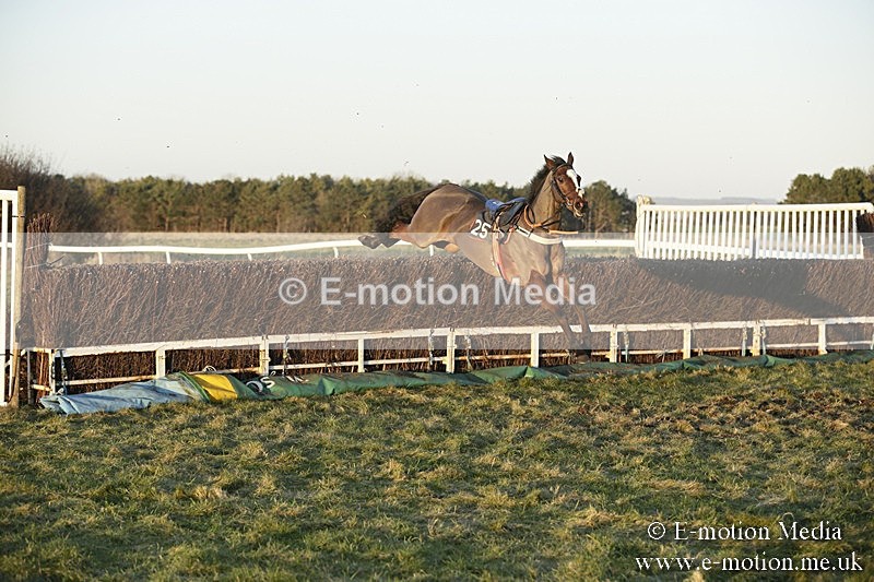 PtP 070118 -821 - Larkhill Racing Club Point to Point Larkhill 07/01/2018