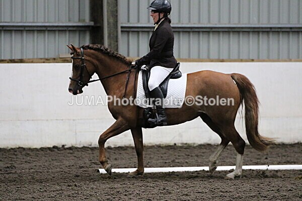 SIAL4274 - CAbin Dressage 5th july 2025