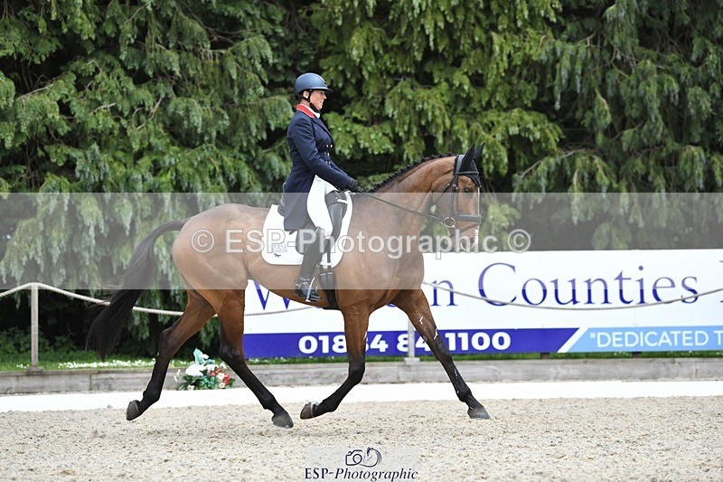 230525-150400-03190 - 324-DRUMGIVEN_MR_CHARISMA-Jeanette_Brakewell-WEDTrotUp+DR