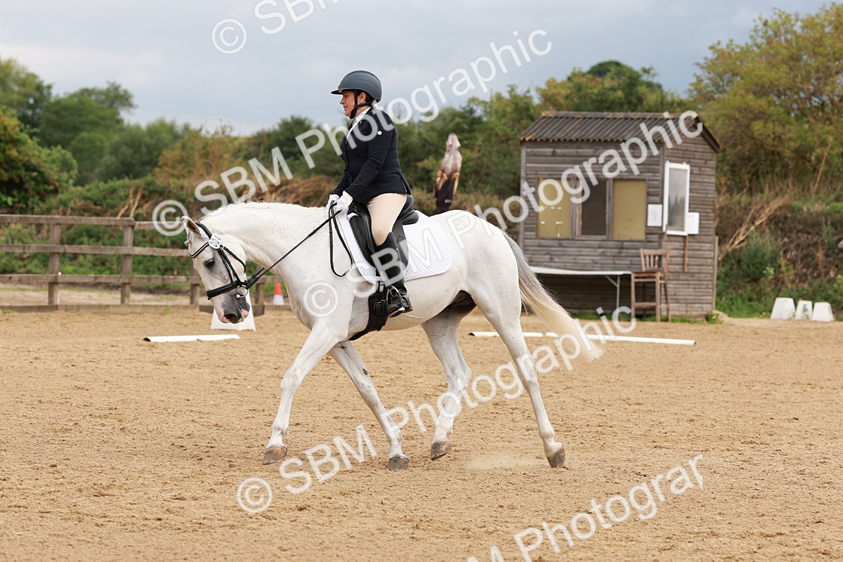 SBM_002700 - Novice 2