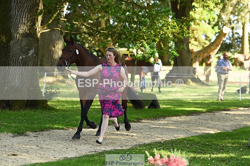230524-162748-00884 - 151-GREANNANSTOWN_QUARRYMAN_GIRL-Grace_Taylor-WEDTrotUp+DR