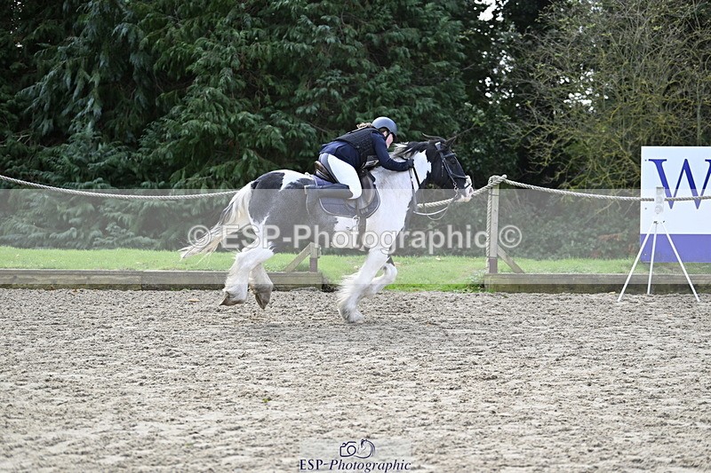 251005A-121452-03682 - Cls 08 Mini 70-75cm