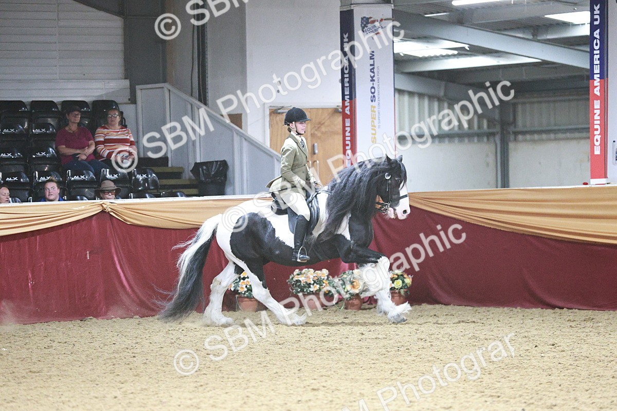 SBM_08908 - Class 12R - Regional Ridden Pre-Vet