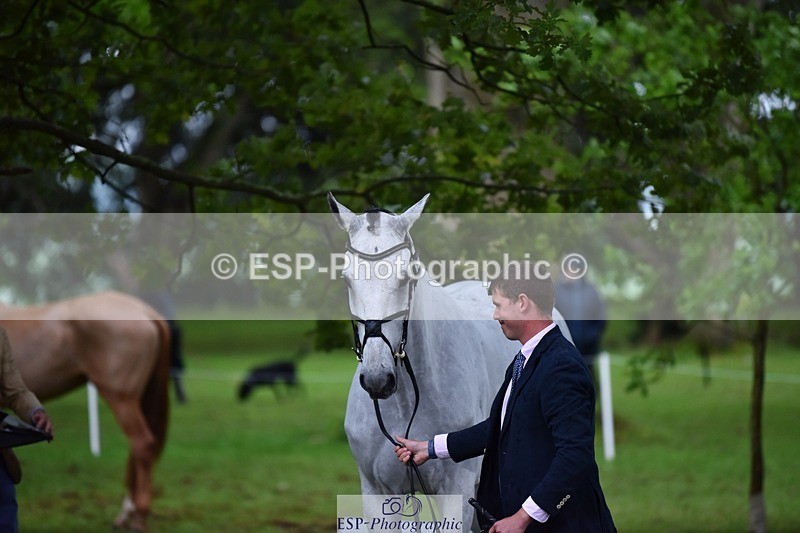 240522-162640-00920 - 207-IE_MR_MCGREGOR-Will_Furlong