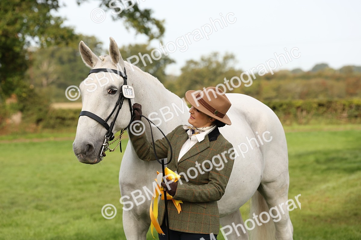 SBM_54717 - S53 - Hunter In Hand