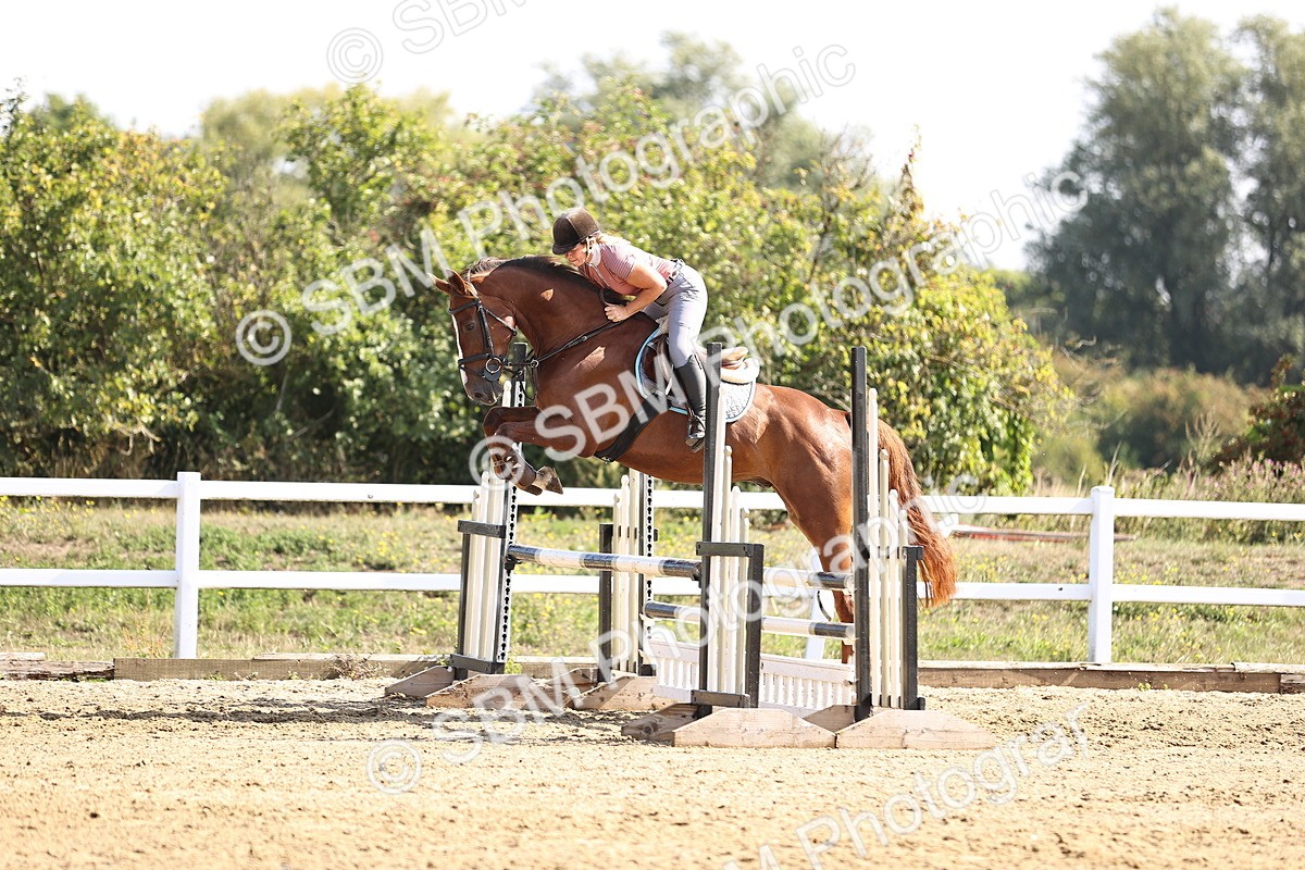 SBM_005612 - Class 9 - Senior British Novice - 90cm