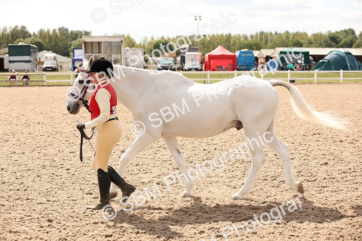 SBM_04616 - Class 20 IH Veteran