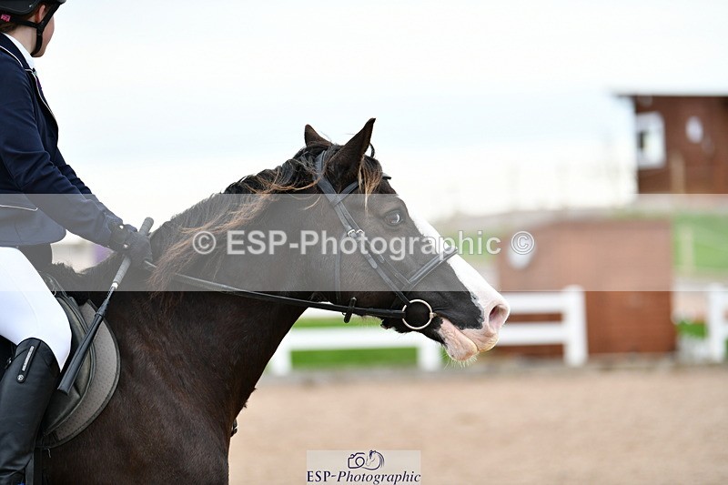 241013B-153750-01942 - Cls 6 80cm