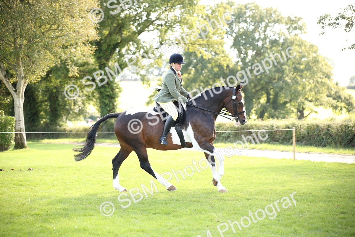 SBM_50119 - S26 - Young Veteran - Ridden