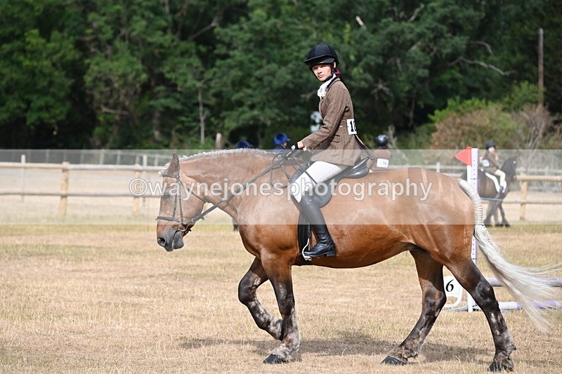 WJ6_7477 - Class 9 Tack and Turnout