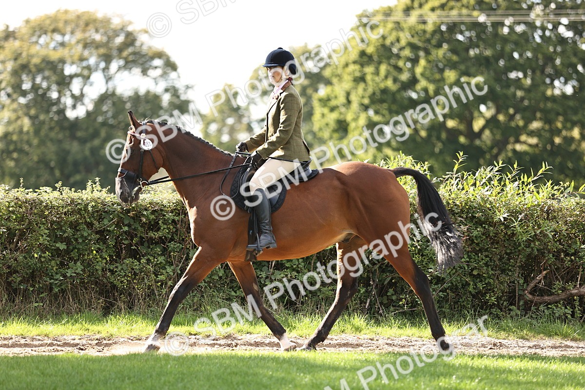 SBM_26378 - S6 - Novice & Newcomers Ridden Horse