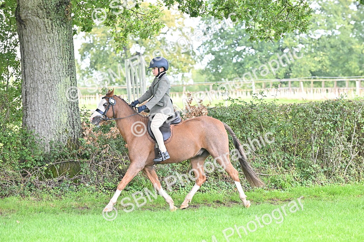 SBM_44492 - S13 - Pony Club Pony