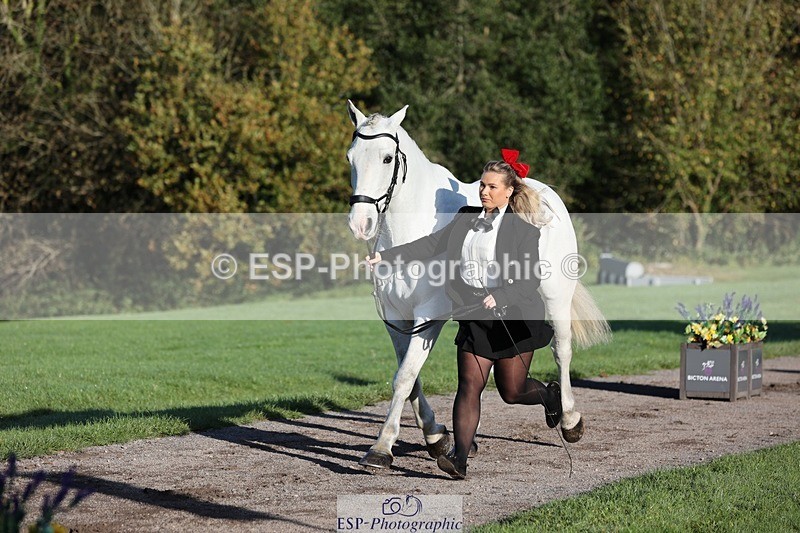 241027-090207-14978 - 461-Olivia.Radcliffe-CHALKY'S.DREAM