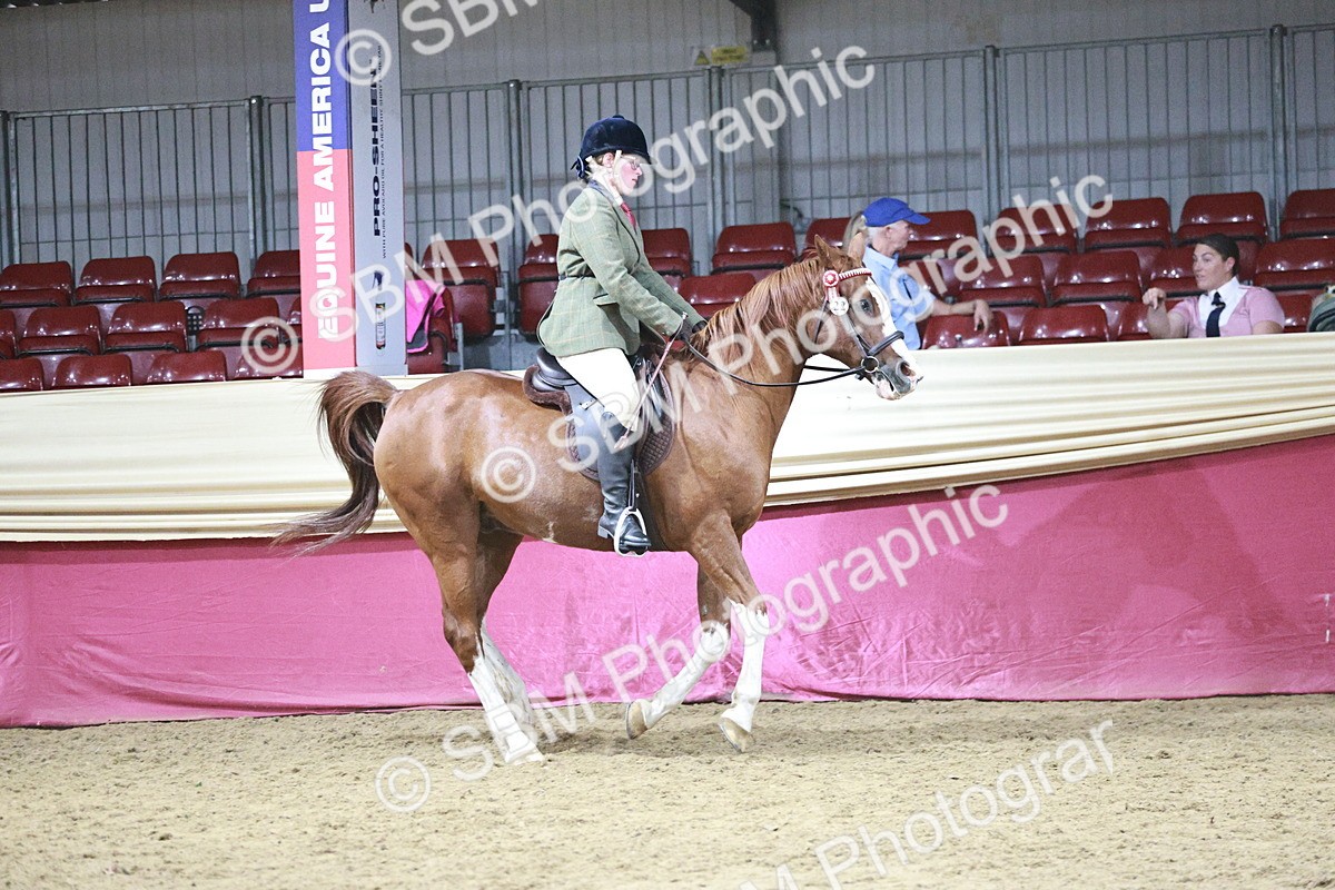 SBM_08051 - Class 11R - Regional Ridden Veteran