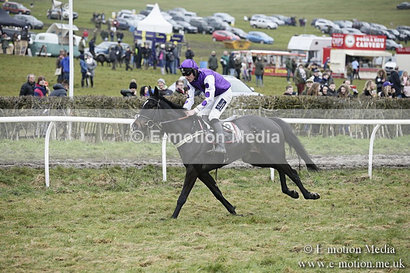 PtP 020418 -489 - Old Berks Point-to-Point Races Easter Monday 02/04/18