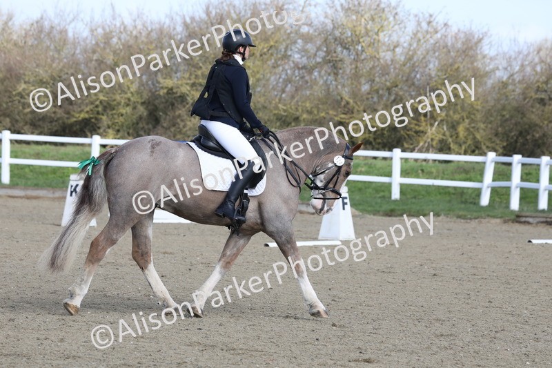 20260314-0337 - DR1 - Intro 1