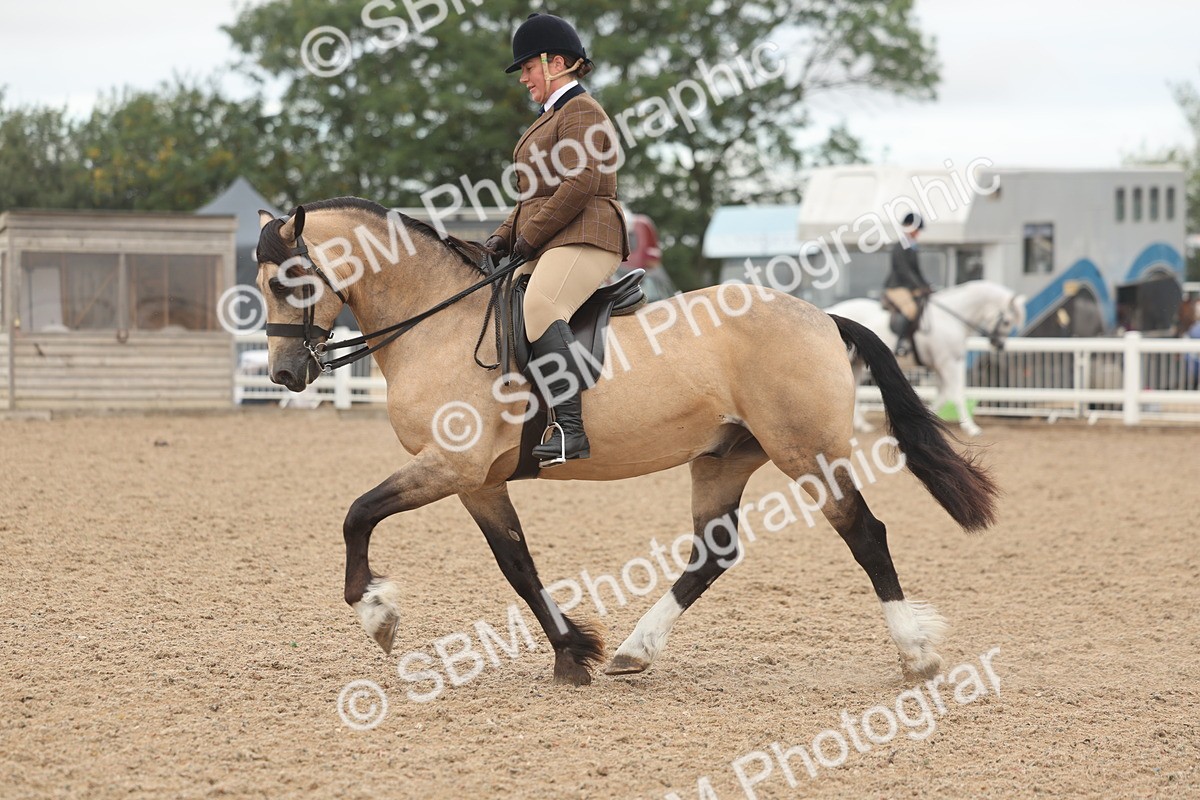 SBM_01899 - Class 14 - Ridden M&M Wildcard