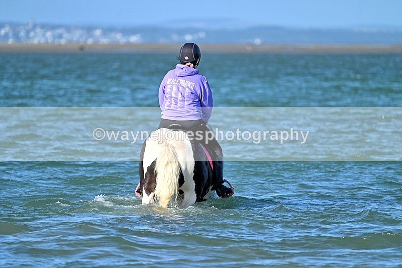 WJ7_3489_1 - Kellie & Churchill ... do Hayling Island 25-08-24
