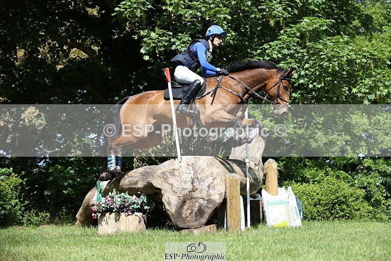 230527-102534-08331 - 255-HI_MR_HENRY-Henry_Hobby-XC