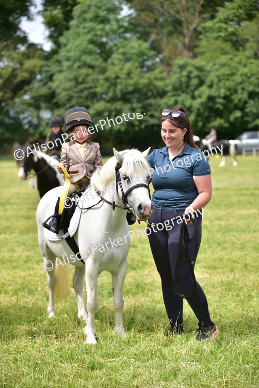 20260614-3732 - Class 15 - Prettiest Mare