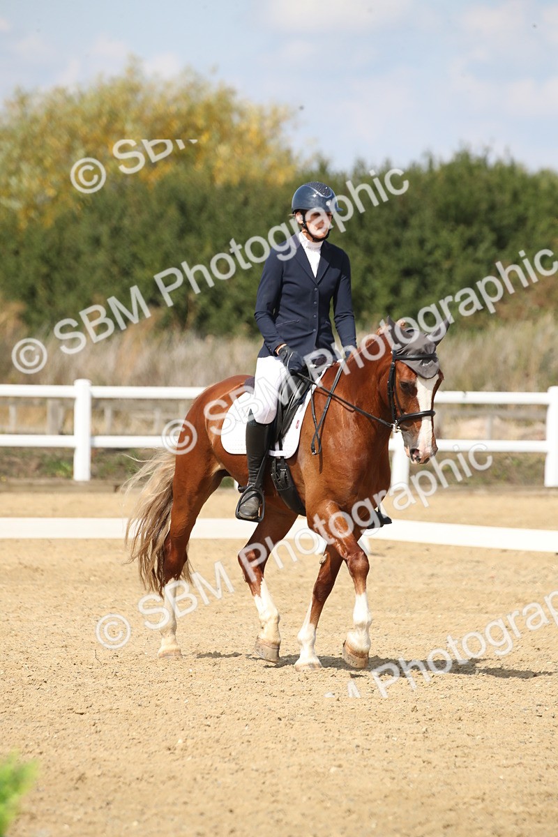 SBM_001445 - Class 2 - Pelim 5 - 11.36.12.32