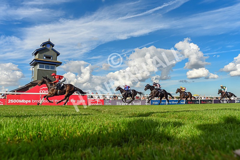 220926-Race 5-Go Victor-7912 - Race 5 3.50pm John Allinson 90th Birthday Handicap
